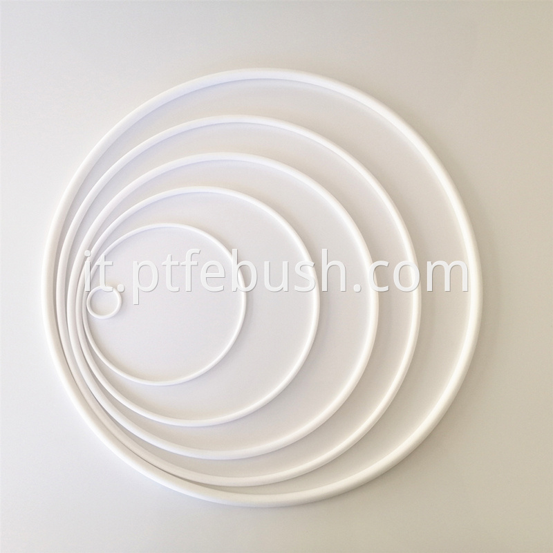 Ptfe O Ring 1